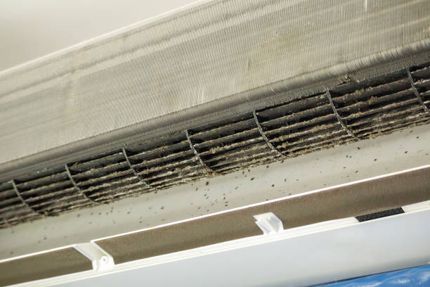 Best Dryer Vent Cleaning Services  in Pace, FL